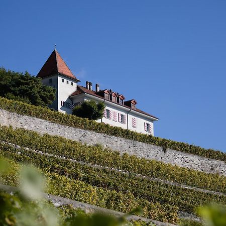 Domaine Du Burignon Hotell Saint-Saphorin Exteriör bild