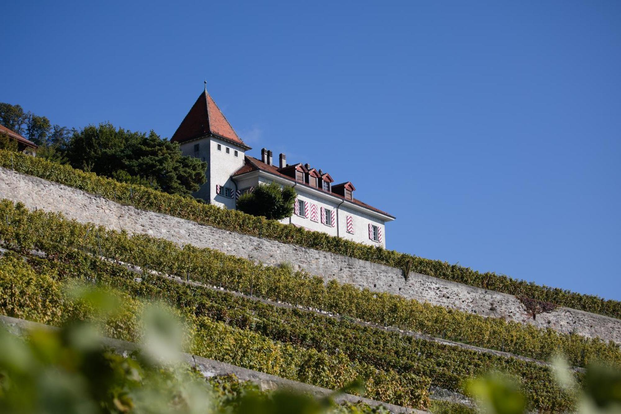 Domaine Du Burignon Hotell Saint-Saphorin Exteriör bild