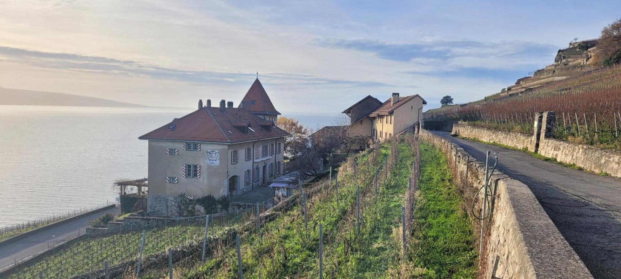 Domaine Du Burignon Hotell Saint-Saphorin Exteriör bild