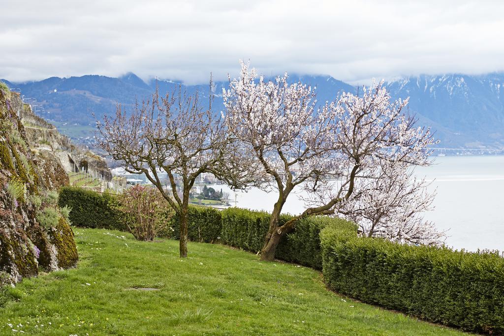 Domaine Du Burignon Hotell Saint-Saphorin Exteriör bild