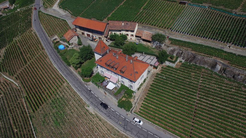 Domaine Du Burignon Hotell Saint-Saphorin Exteriör bild