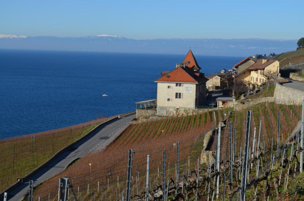 Domaine Du Burignon Hotell Saint-Saphorin Exteriör bild