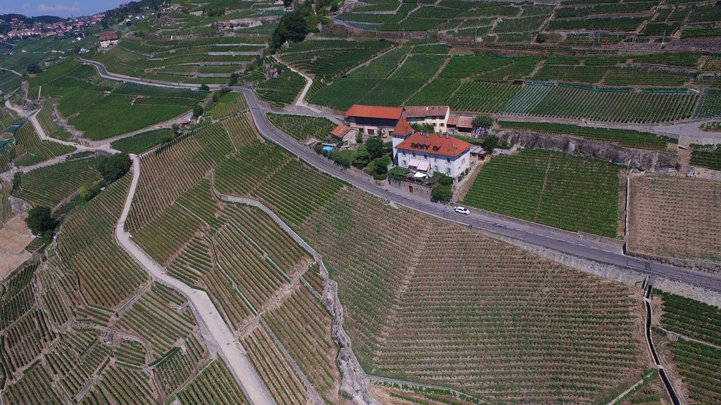 Domaine Du Burignon Hotell Saint-Saphorin Exteriör bild