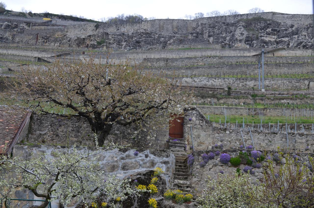 Domaine Du Burignon Hotell Saint-Saphorin Rum bild